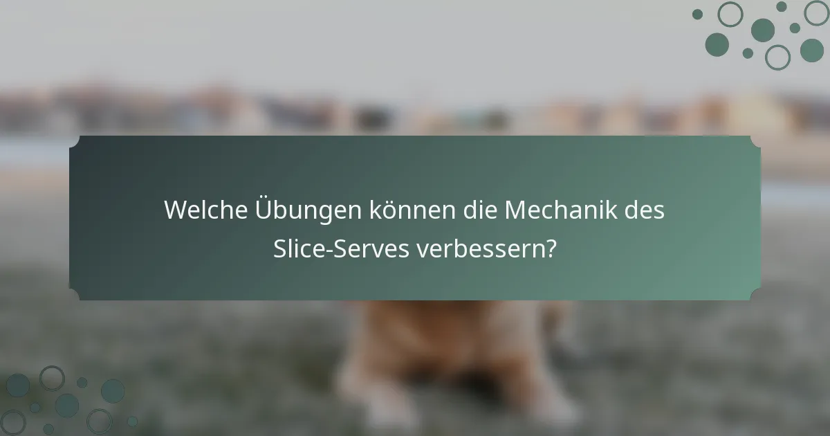 Welche Übungen können die Mechanik des Slice-Serves verbessern?