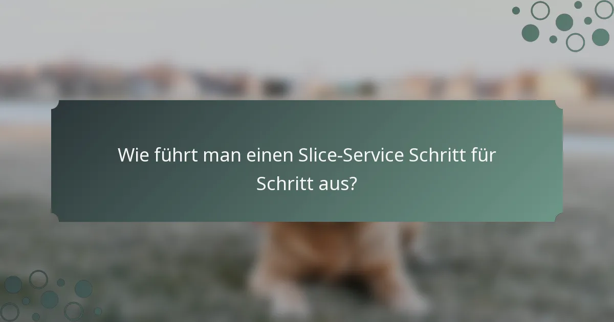 Wie führt man einen Slice-Service Schritt für Schritt aus?